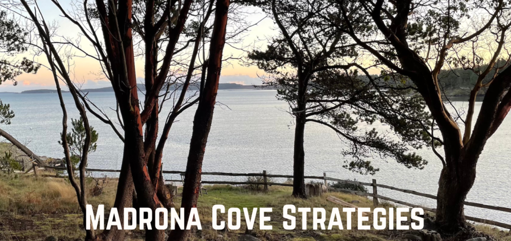 madrona cove strategies